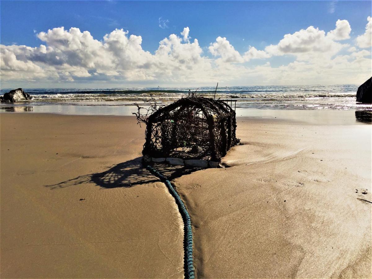 St Awaries Studio, Carne Rosslare Harbour Buitenkant foto