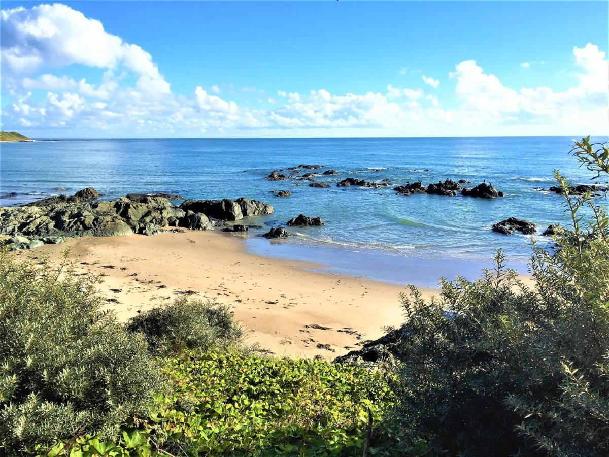 St Awaries Studio, Carne Rosslare Harbour Buitenkant foto